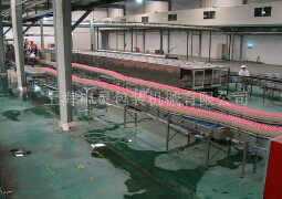 果汁飲料空瓶包裝生產線的發展趨勢