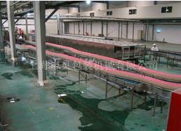 果汁飲料空瓶包裝生產線一體多用適應多種液體